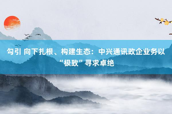 勾引 向下扎根、构建生态：中兴通讯政企业务以“极致”寻求卓绝