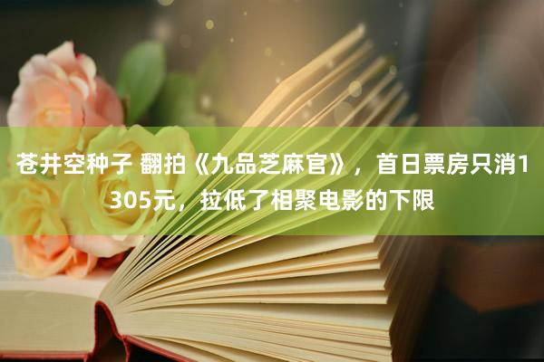 苍井空种子 翻拍《九品芝麻官》，首日票房只消1305元，拉低了相聚电影的下限