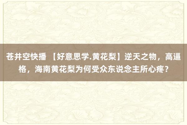 苍井空快播 【好意思学.黄花梨】逆天之物，高逼格，海南黄花梨为何受众东说念主所心疼？