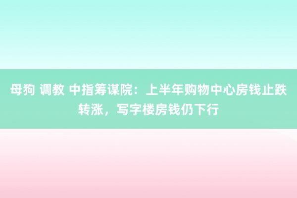 母狗 调教 中指筹谋院：上半年购物中心房钱止跌转涨，写字楼房钱仍下行