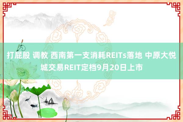 打屁股 调教 西南第一支消耗REITs落地 中原大悦城交易REIT定档9月20日上市