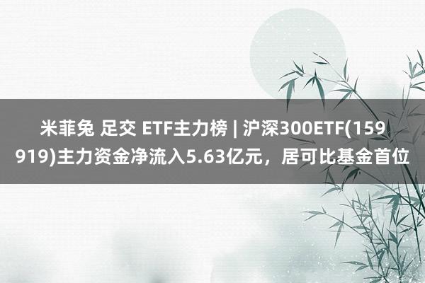 米菲兔 足交 ETF主力榜 | 沪深300ETF(159919)主力资金净流入5.63亿元，居可比基金首位