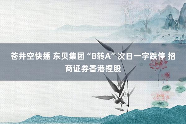 苍井空快播 东贝集团“B转A”次日一字跌停 招商证券香港捏股