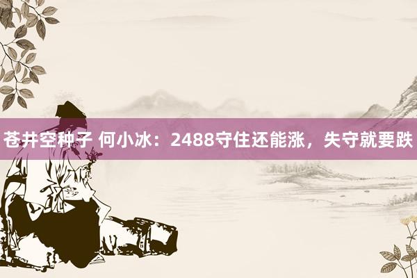 苍井空种子 何小冰：2488守住还能涨，失守就要跌