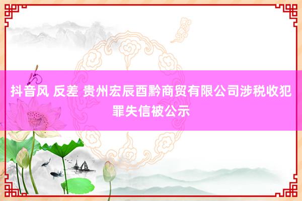 抖音风 反差 贵州宏辰酉黔商贸有限公司涉税收犯罪失信被公示