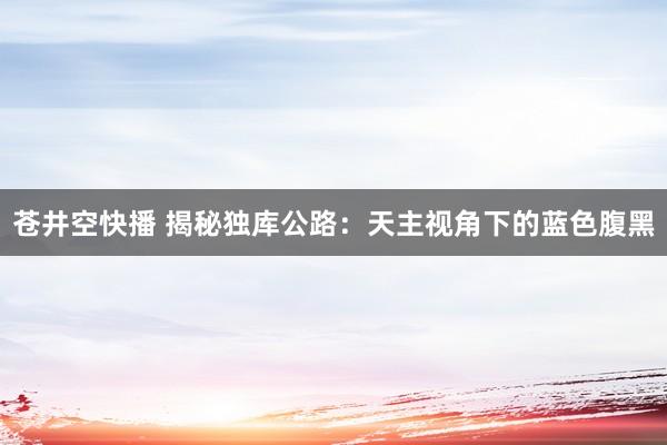 苍井空快播 揭秘独库公路：天主视角下的蓝色腹黑