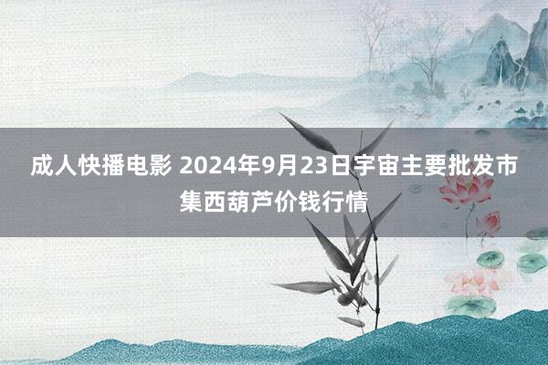 成人快播电影 2024年9月23日宇宙主要批发市集西葫芦价钱行情