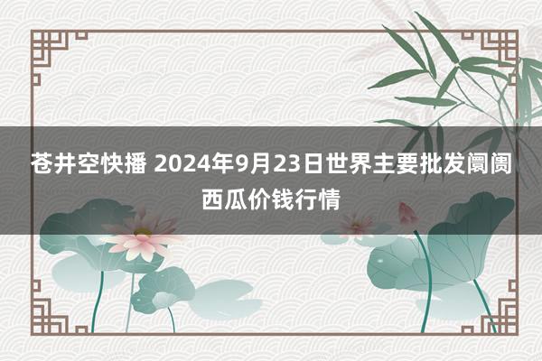 苍井空快播 2024年9月23日世界主要批发阛阓西瓜价钱行情