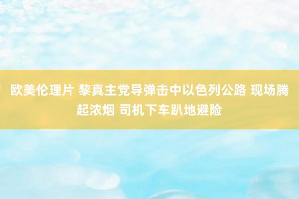 欧美伦理片 黎真主党导弹击中以色列公路 现场腾起浓烟 司机下车趴地避险