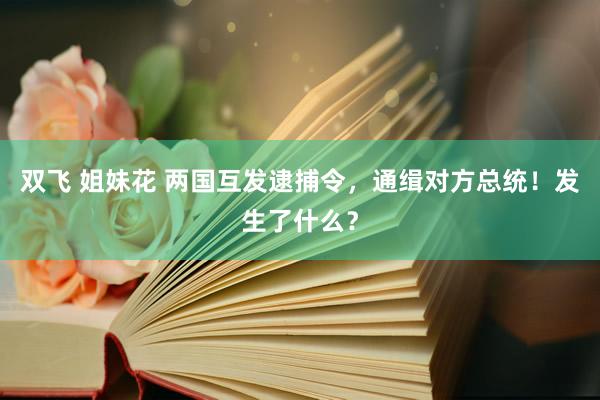 双飞 姐妹花 两国互发逮捕令，通缉对方总统！发生了什么？