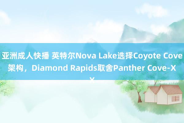 亚洲成人快播 英特尔Nova Lake选择Coyote Cove架构，Diamond Rapids取舍Panther Cove-X