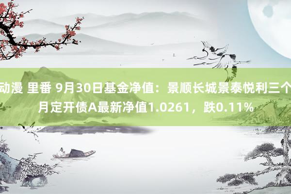 动漫 里番 9月30日基金净值：景顺长城景泰悦利三个月定开债A最新净值1.0261，跌0.11%