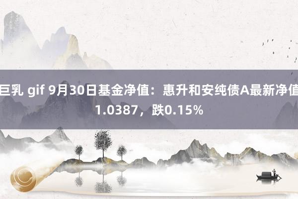 巨乳 gif 9月30日基金净值：惠升和安纯债A最新净值1.0387，跌0.15%