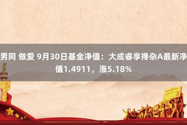 男同 做爱 9月30日基金净值：大成睿享搀杂A最新净值1.4911，涨5.18%