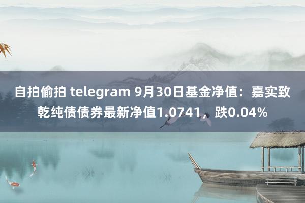 自拍偷拍 telegram 9月30日基金净值：嘉实致乾纯债债券最新净值1.0741，跌0.04%