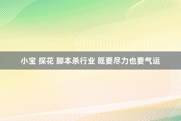 小宝 探花 脚本杀行业 既要尽力也要气运