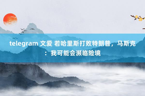 telegram 文爱 若哈里斯打败特朗普，马斯克：我可能会濒临险境