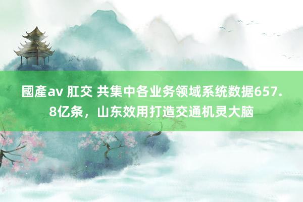 國產av 肛交 共集中各业务领域系统数据657.8亿条，山东效用打造交通机灵大脑