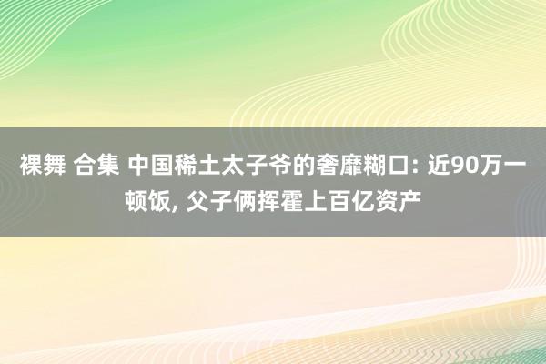 裸舞 合集 中国稀土太子爷的奢靡糊口: 近90万一顿饭, 父子俩挥霍上百亿资产