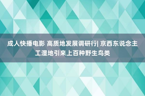 成人快播电影 高质地发展调研行| 京西东说念主工湿地引来上百种野生鸟类