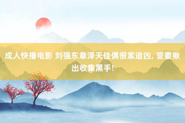 成人快播电影 刘强东章泽天佳偶报案追凶, 誓要揪出收集黑手!