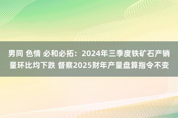 男同 色情 必和必拓：2024年三季度铁矿石产销量环比均下跌 督察2025财年产量盘算指令不变