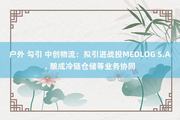 户外 勾引 中创物流：拟引进战投MEDLOG S.A. 酿成冷链仓储等业务协同