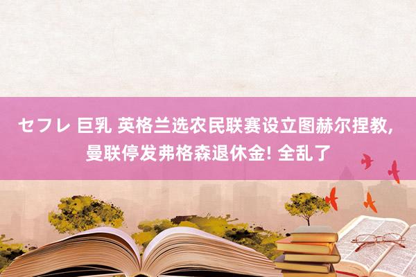 セフレ 巨乳 英格兰选农民联赛设立图赫尔捏教, 曼联停发弗格森退休金! 全乱了