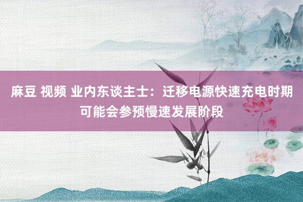 麻豆 视频 业内东谈主士：迁移电源快速充电时期可能会参预慢速发展阶段