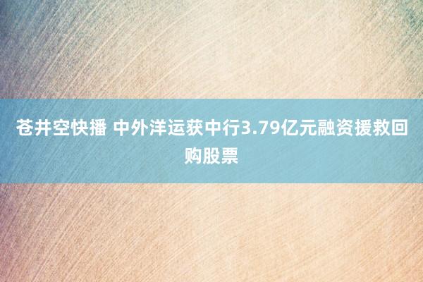 苍井空快播 中外洋运获中行3.79亿元融资援救回购股票