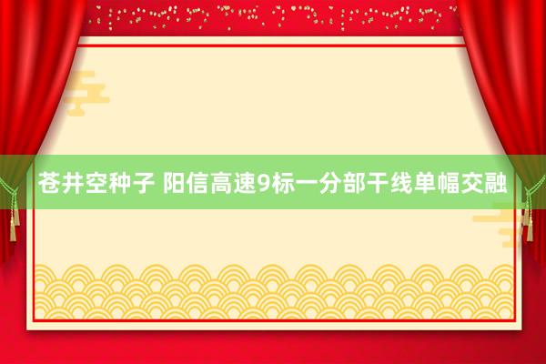 苍井空种子 阳信高速9标一分部干线单幅交融