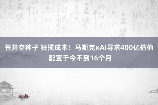 苍井空种子 狂揽成本！马斯克xAI寻求400亿估值 配置于今不到16个月