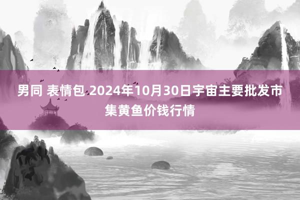 男同 表情包 2024年10月30日宇宙主要批发市集黄鱼价钱行情