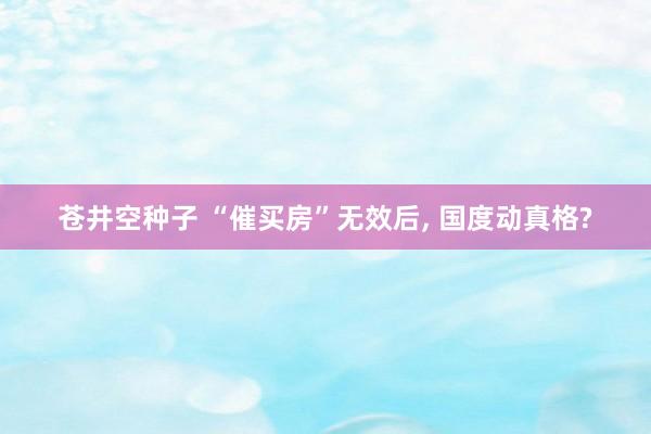 苍井空种子 “催买房”无效后, 国度动真格?