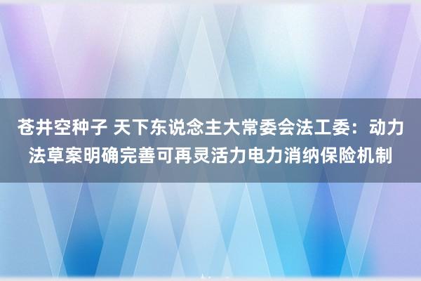 苍井空种子 天下东说念主大常委会法工委：动力法草案明确完善可再灵活力电力消纳保险机制