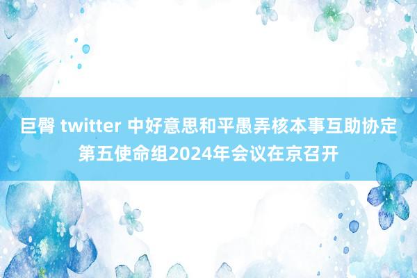 巨臀 twitter 中好意思和平愚弄核本事互助协定第五使命组2024年会议在京召开