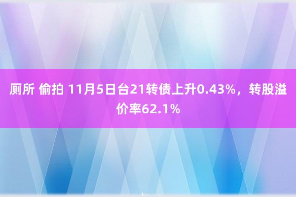 厕所 偷拍 11月5日台21转债上升0.43%，转股溢价率62.1%