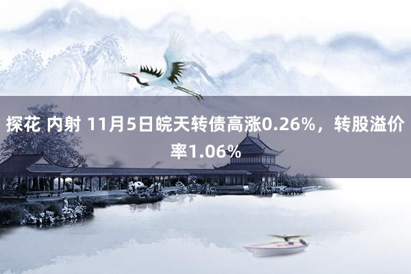 探花 内射 11月5日皖天转债高涨0.26%，转股溢价率1.06%