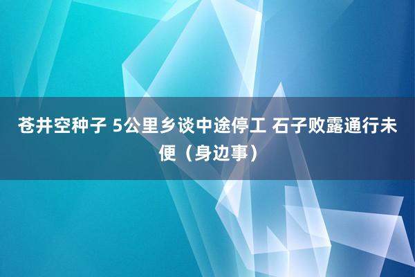 苍井空种子 5公里乡谈中途停工 石子败露通行未便（身边事）