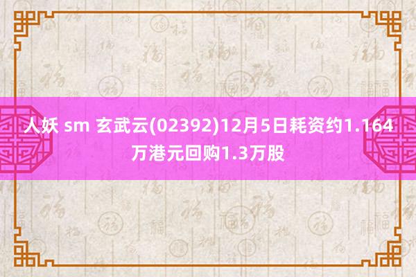 人妖 sm 玄武云(02392)12月5日耗资约1.164万港元回购1.3万股