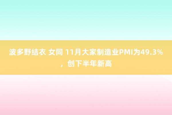 波多野结衣 女同 11月大家制造业PMI为49.3%，创下半年新高