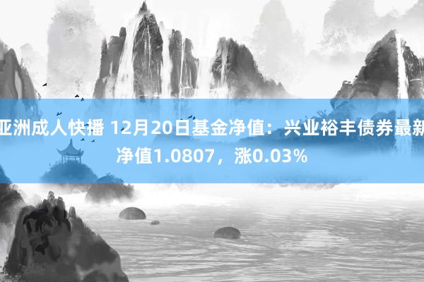 亚洲成人快播 12月20日基金净值：兴业裕丰债券最新净值1.0807，涨0.03%