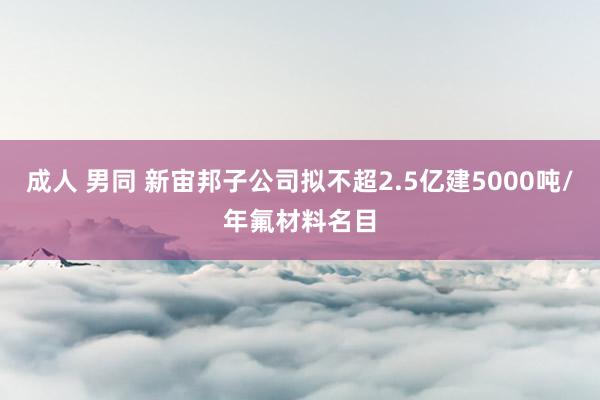 成人 男同 新宙邦子公司拟不超2.5亿建5000吨/年氟材料名目