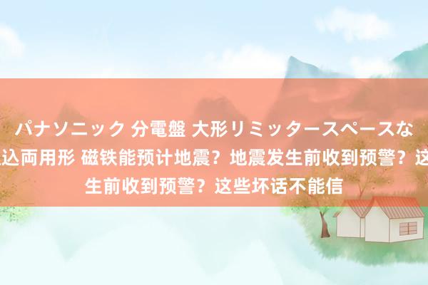 パナソニック 分電盤 大形リミッタースペースなし 露出・半埋込両用形 磁铁能预计地震？地震发生前收到预警？这些坏话不能信