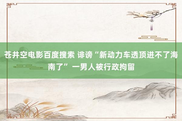 苍井空电影百度搜索 诽谤“新动力车透顶进不了海南了” 一男人被行政拘留